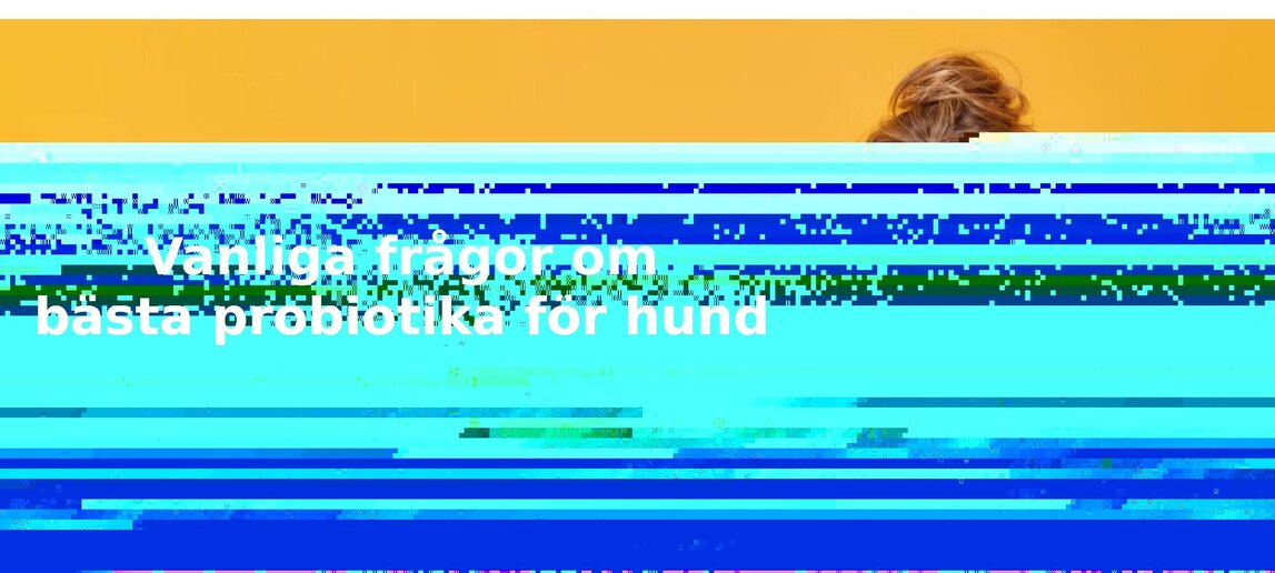 Vanliga frågor om probiotika för hund