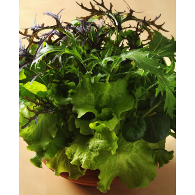 Sallad Gourmet Global Mixed Nyhet