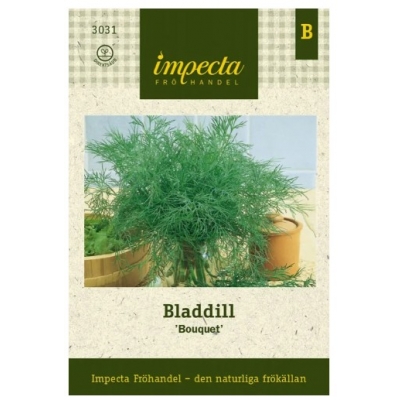 impecta bouqet dill