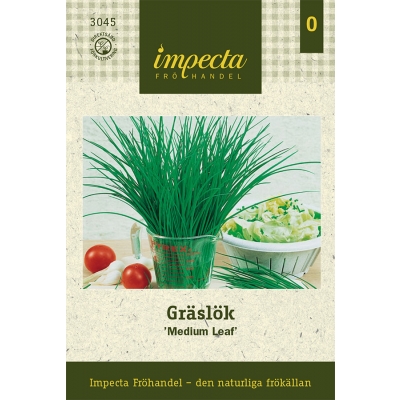 impecta graesloek medium leaf