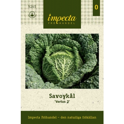 impecta savojkal vertus2