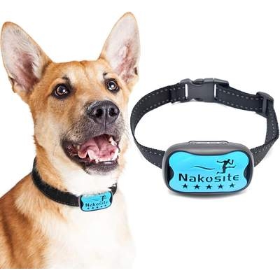 nakosite dog2434