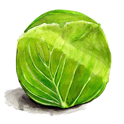 vitkaldonator