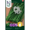 Kinesisk graesloek garlic oriental