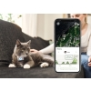 LilCat 2 GPS Tracker till Katt
