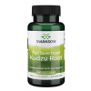 Swanson Kudzurot 60 kapslar