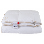 Ringsted Dun Svinaherden Duntaecke 150210