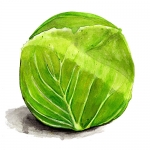 vitkaldonator