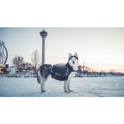  Amundsen Pro-Dog Backpack