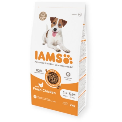  Dog Adult Small & Medium