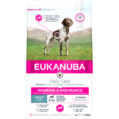  Dog Adult Working & Endurance