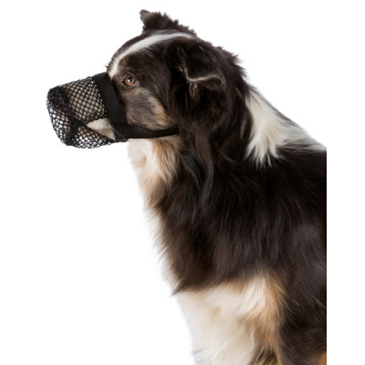  Munkorg mot förgiftning för hund