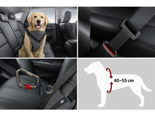 Produktguide testar Bilbälte hund