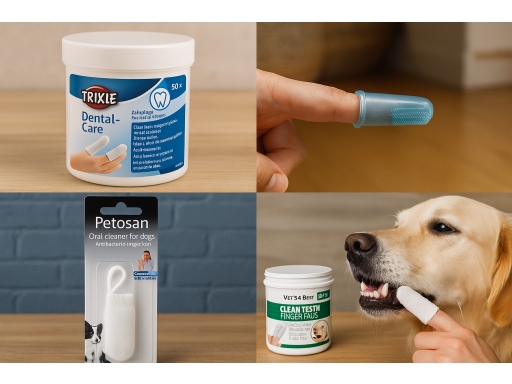 Produktguide testar Fingertandborste hund