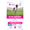  Dog Adult Working & Endurance