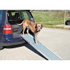  Teleskopisk Ramp för hund