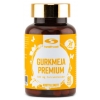 Healthwell Gurkmeja Premium