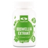 Örtspecialisten Astragalus 1000A