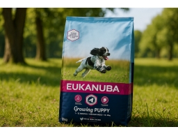 Produktguide testar  Dog Puppy Medium