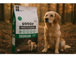 Produktguide testar  Professional Skonsam för Hund