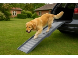 Produktguide testar  Ramp för hund