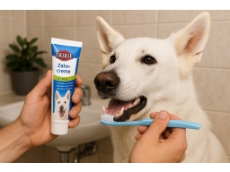 Produktguide testar  Tandkräm med mintsmak för hund