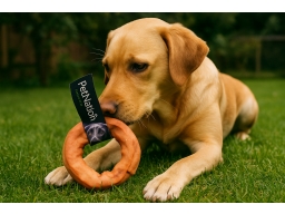 Produktguide testar  Tuggring Ren för hund