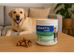 Produktguide testar Adaptil Chew Tuggbitar 30 st