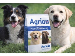 Produktguide testar Agria Hundförsäkring