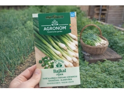 Produktguide testar Agronom Piplök Bajkal