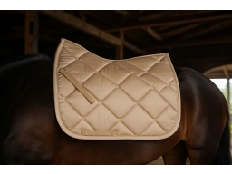 Produktguide testar Back On Track Night Collection Dressyr Schabrak - Champagne