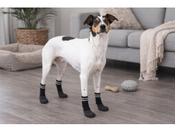 Produktguide testar Basic Paws Hundstrumpor