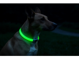 Produktguide testar Basic Wide LED-halsband