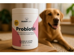 Produktguide testar BuddyCare Probiotic