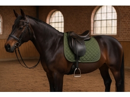 Produktguide testar CATAGO Dressyrschabrak Urban Tech-serien