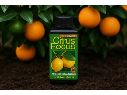Produktguide testar Citrusnäring Citrus Focus, 100 ml