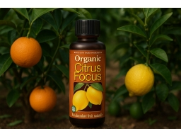 Produktguide testar Citrusnäring Organic Citrus Focus 300 ml