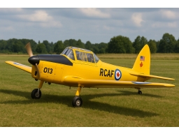Produktguide testar DHC-1 Chipmunk 20cc  Elmotor Bensinmotor  Erfaren  ARTF