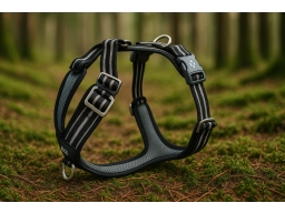 Produktguide testar DogCopenhagen Comfort Walk Air Harness