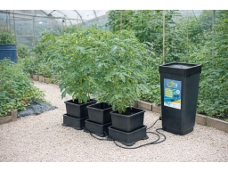 Produktguide testar Easy2Grow 4×8.5L