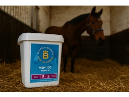 Produktguide testar Eclipse Biofarmab MSM 100 - 1 kg