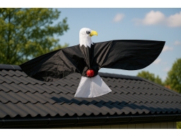 Produktguide testar Fågelskrämma Bird on the roof