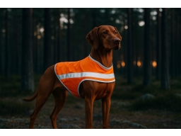 Produktguide testar Feel Active Reflective Reflexväst