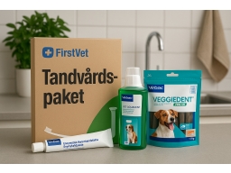 Produktguide testar FirstVet Tandvårdspaket