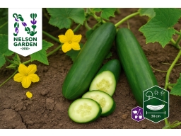 Produktguide testar Frilandsgurka Tanja