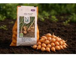 Produktguide testar Gul lök, sättlök, ekologisk