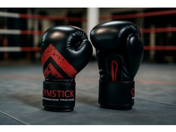 Produktguide testar Gymstick Boxing Gloves 