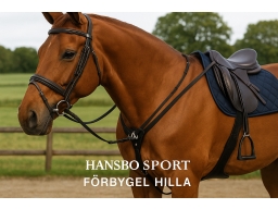 Produktguide testar Hansbo Sport Förbygel HILLA Svart