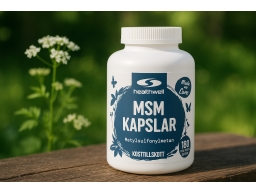 Produktguide testar Healthwell MSM Kapslar