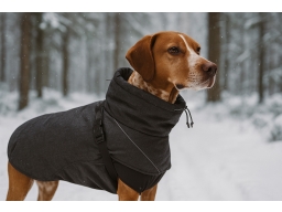 Produktguide testar Hurtta Expedition Vinterjacka Hund Blackberry